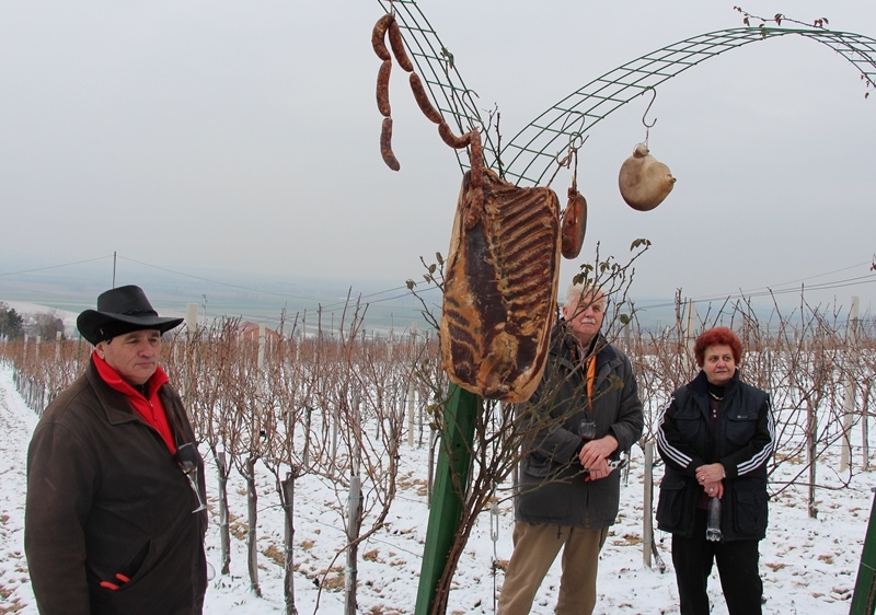 Blagoslovljen vinograd uz brojne prijatelje
