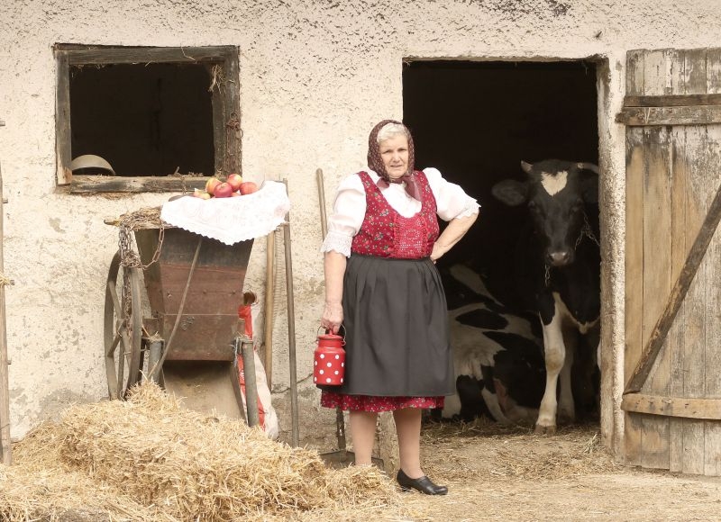 Deseta godina provedbe foto natječaja "Volim svoju županiju" - fotografije šaljite do 29. lipnja