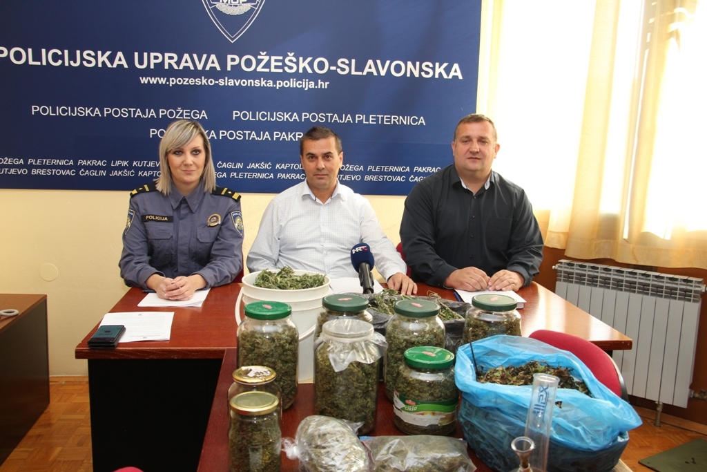 Domaći proizvođači uzgojili i pripremili za prodaju veće količine marihuane