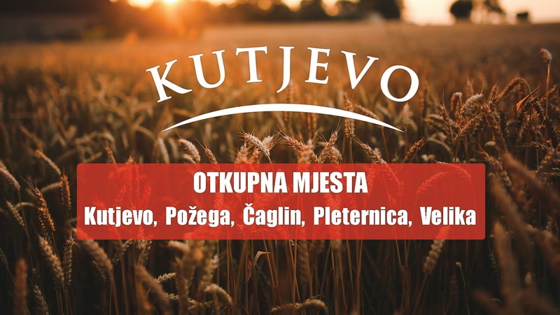 Otkup uljarica i žitarica kod dokazanog i pouzdanog poslovnog partnera – Kutjevo d.d.