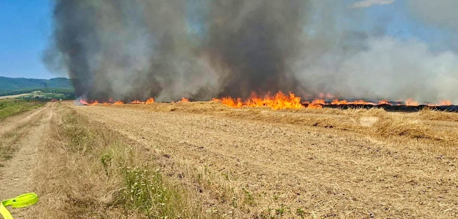 Požar kod Trenkova progutao 40 hektara strništa, vatrogasci spriječili daljnje širenje vatre