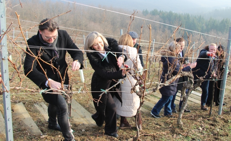 Proslavljeno "Vincelovo" u vinogradima Kutjeva d.d. na lokaciji Vinkomir - rezanje loze i blagoslov vinograda uz "vincelovski štap" i ponajbolju graševinu