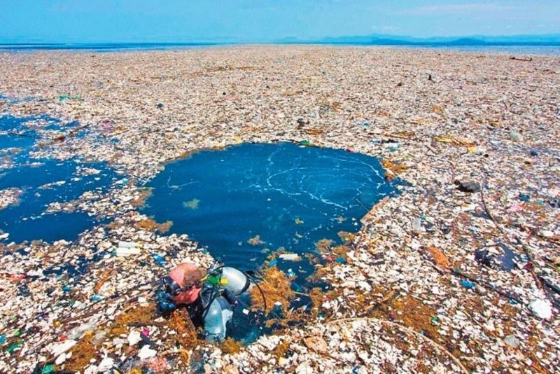 Svake godine u oceanu završi količina plastike kojom se može napuniti 50 tisuća olimpijskih bazena