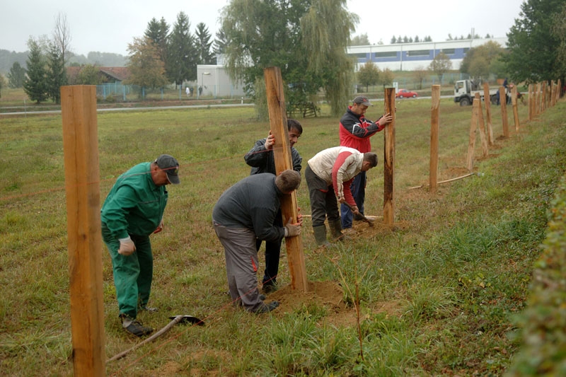 Više prostora za kretanje i ispašu konja