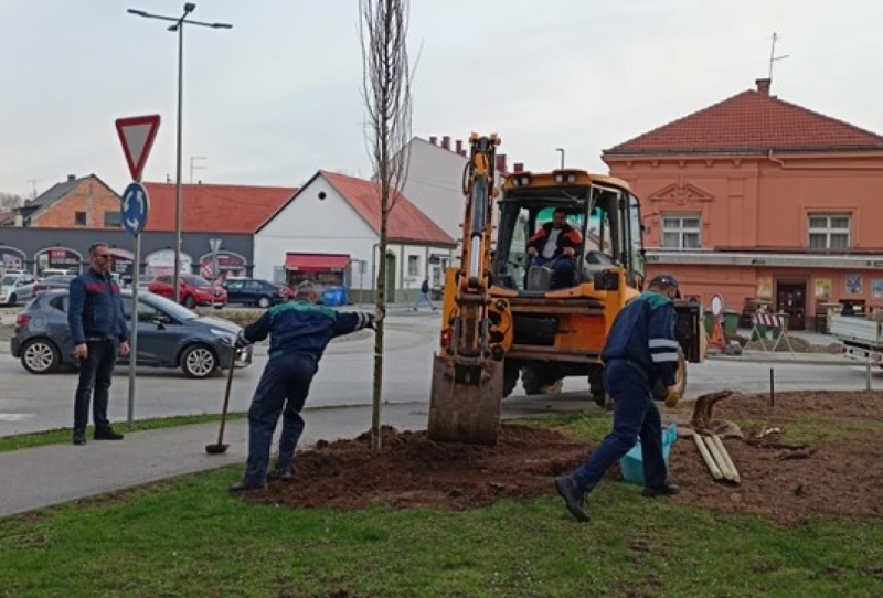 Započela sadnja novih stabala u Ulici dr. Franje Tuđmana koja je u cjelovitoj rekonstrukciji