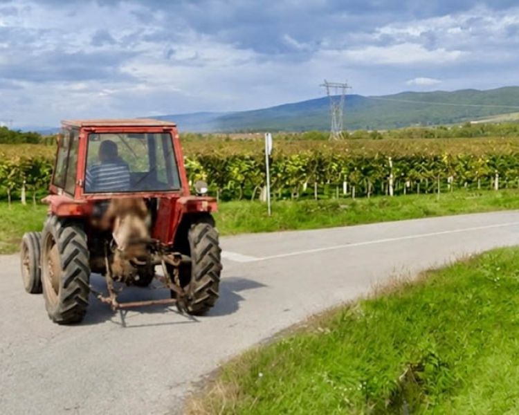 Vozio traktor bez registarskih oznaka, s 2,14 promila i poništenom vozačkom