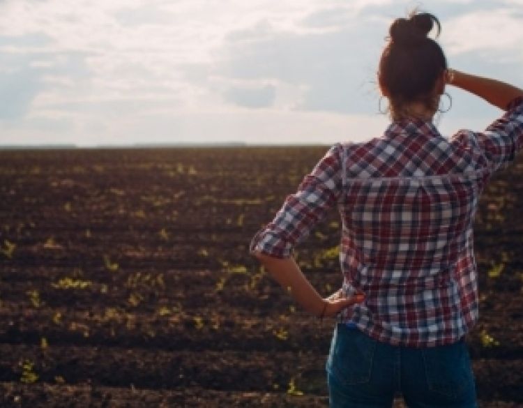 Nikad ranije odobrene isplate po Jedinstvenim zahtjevima za 2025. godinu – poljoprivrednicima isplaćeno više od 465 milijuna eura