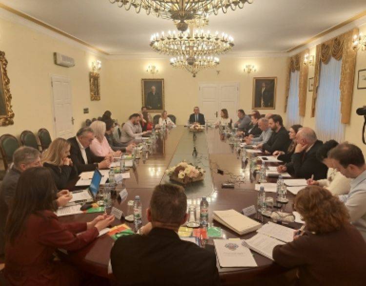 Održana 7. sjednica Gradskoga vijeća Grada Požege