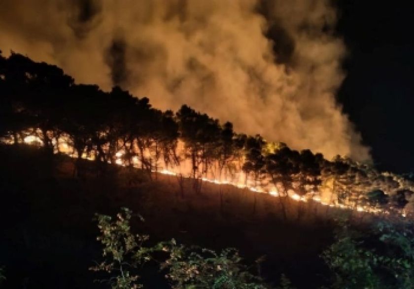 Veći broj požara i veće opožarene površine u odnosu na isto razdoblje prošle godine