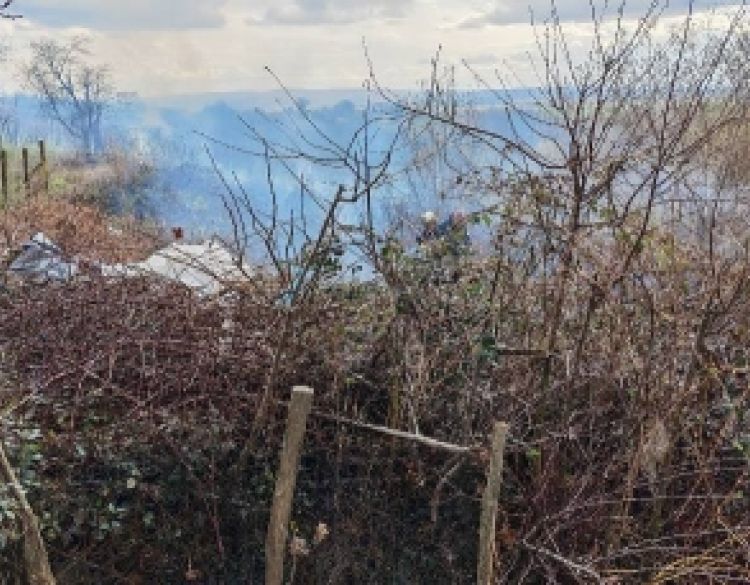 Spaljivao orezanu lozu u vinogradu pa se 28-godišnjaku požar oteo kontroli i prešao na susjedne poljoprivredne površine