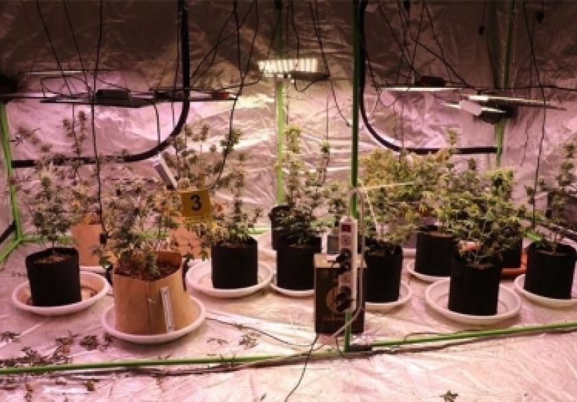 Pretragom kuća pronađen još jedan laboratorij u Velikoj kod 42-godišnjaka i 46-godišnjaka - zaplijenjena droga MDMA, cannabis marihuana i oprema