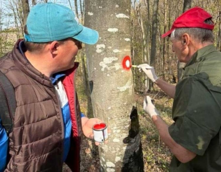 HPD “Sokolovac” Požega  - pet članova Društva uspješno položilo ispit za nove markaciste za planinarske staze