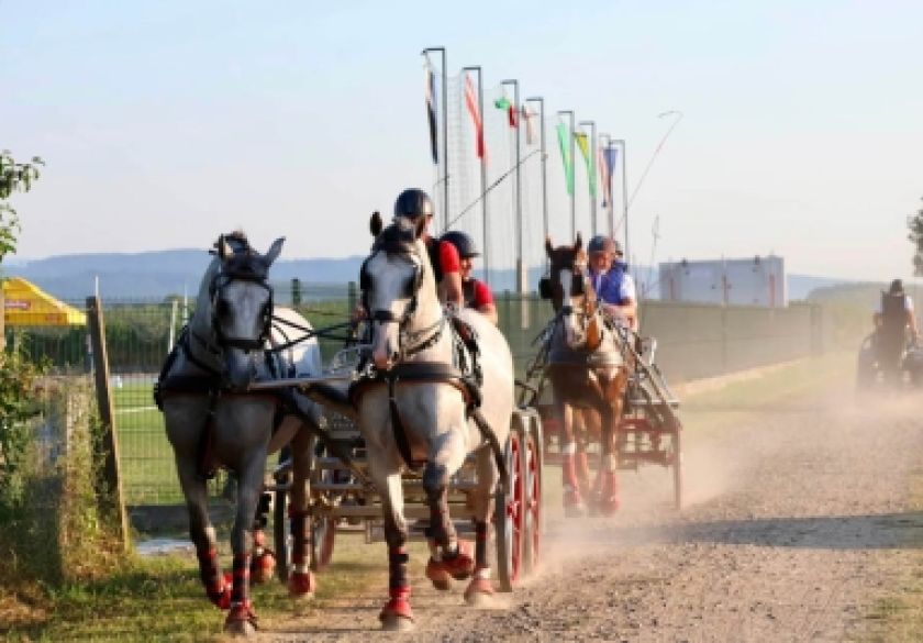 Pleternica ponovno u znaku vrhunskog konjičkog sporta i bogatog zabavnog programa