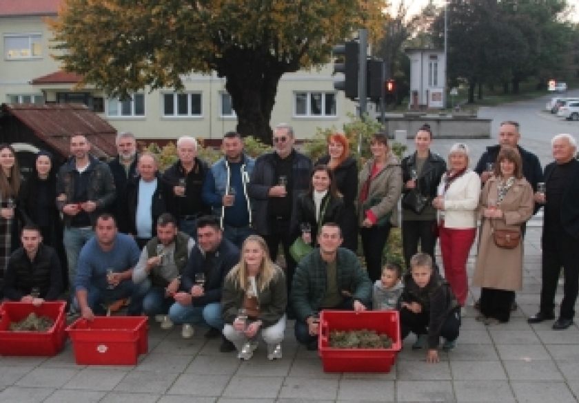 Završna berba grožđa u pokaznom vinogradu na jedinstvenom Trgu graševine donijela odličan urod i grožđe odlične kvalitete