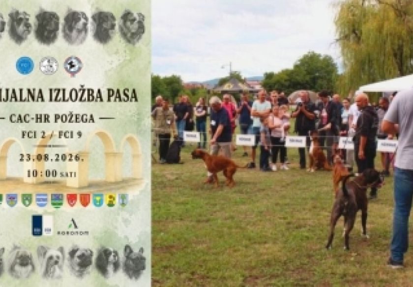 Specijalna izložba pasa CAC - HR Požega 2026. sutra na livadi kod Orljave