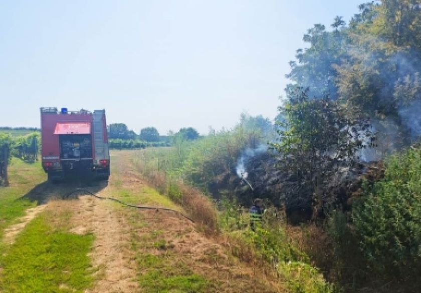 Paljenje na otvorenom unatoč zabrani: Prekršaj u Kutjevu i požar u požeškom parku