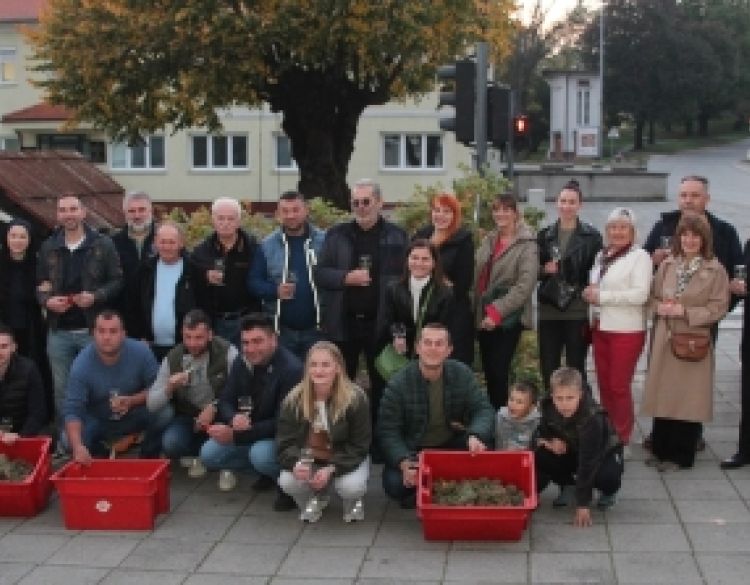 Završna berba grožđa u pokaznom vinogradu na jedinstvenom Trgu graševine donijela odličan urod i grožđe odlične kvalitete