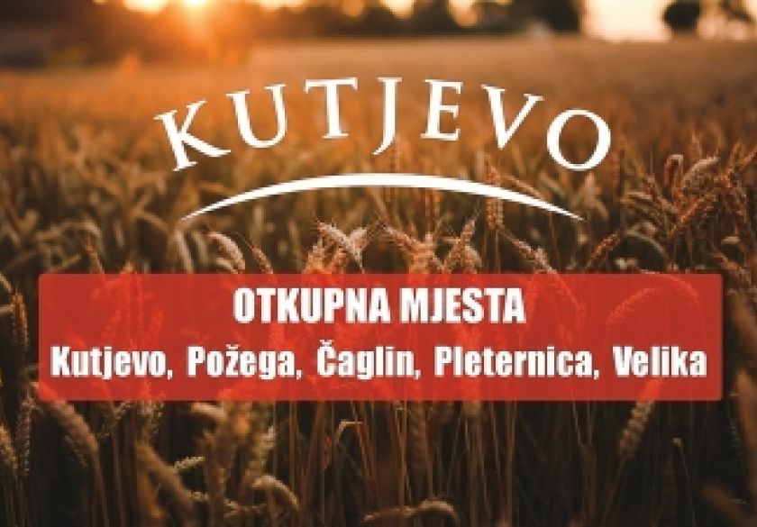 Otkup uljarica i žitarica kod dokazanog i pouzdanog poslovnog partnera – Kutjevo d.d.