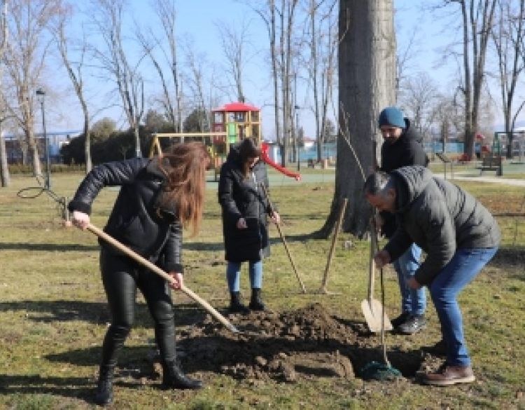 Sade nova stabla u nastradalom pleterničkom Parku, educiraju djecu u vrtićima o projektima održivosti
