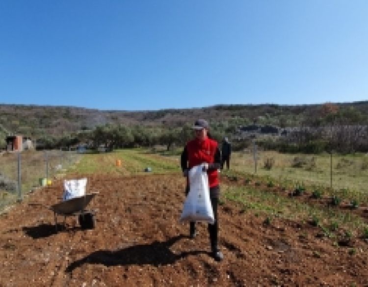Kako uzgojiti  zdravu hranu u našem povrtnjaku - Zdravo tlo - zdrava hrana