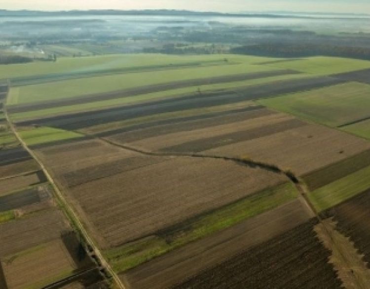 Javni poziv za provedbu Programa potpore za provedbu proljetne sjetve/sadnje u 2026. godini otvoren do 17. travnja 2026.