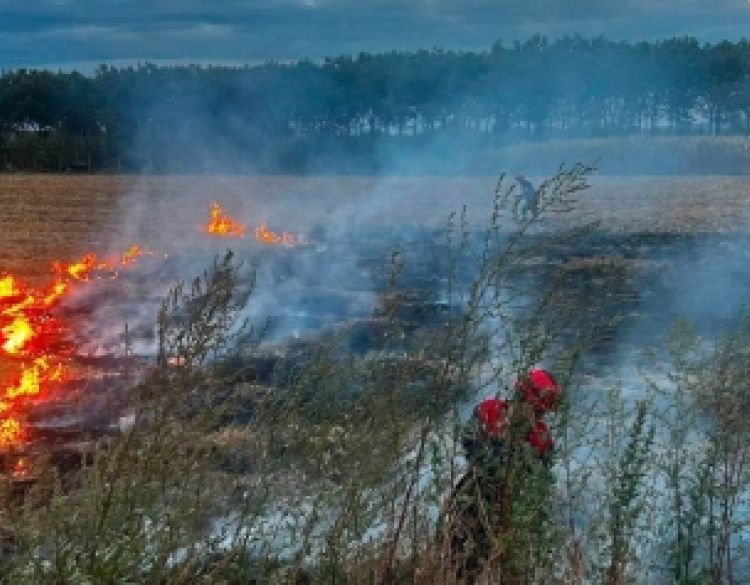 Signalna raketa izazvala požar na suhom strništu u Vetovu