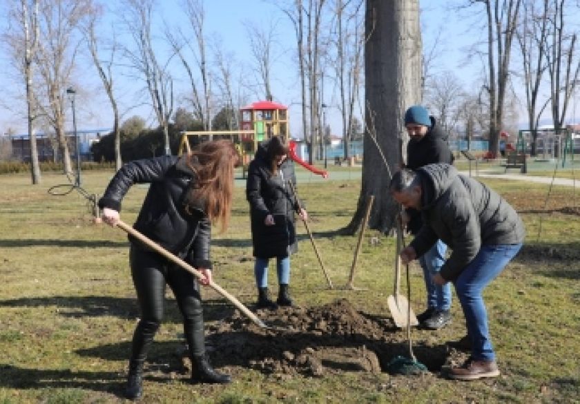 Sade nova stabla u nastradalom pleterničkom Parku, educiraju djecu u vrtićima o projektima održivosti