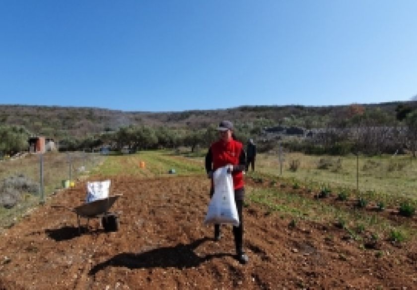 Kako uzgojiti  zdravu hranu u našem povrtnjaku - Zdravo tlo - zdrava hrana