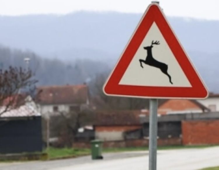 Tijekom proteklog vikenda zabilježena četiri naleta na divljač