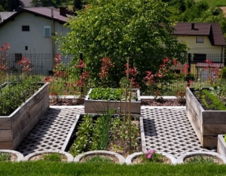 Klasičan vrt ili visoke gredice