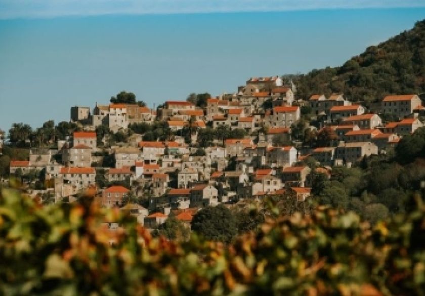Danas je Međunarodni dan Mediterana - a mi u Hrvatskoj imamo sreću da živimo na ovom dijelu svijeta