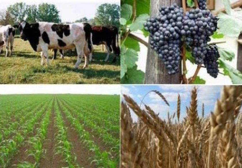 Ministarstvo poljoprivrede  predstavilo paket izvanrednih mjera pomoći za poljoprivredu i ribarstvo