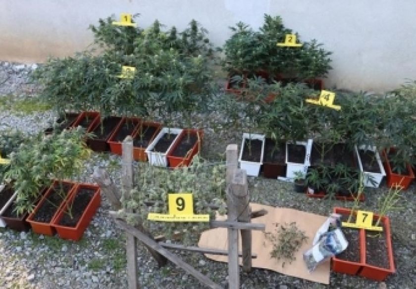 Kod 42-godišnjaka na području Požege pronađen laboratorij s opremom za proizvodnju droge tipa konoplje