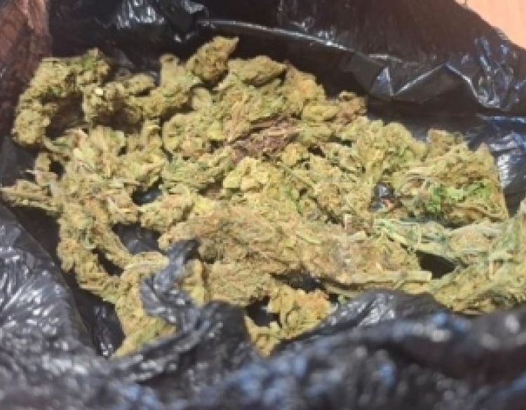 Temeljem naloga Županijskog suda pretražena vikendica i automobil 41-godišnjaka na području Požege - pronađena droga konoplja