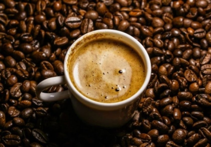 Kava – tekuće zlato budućnosti