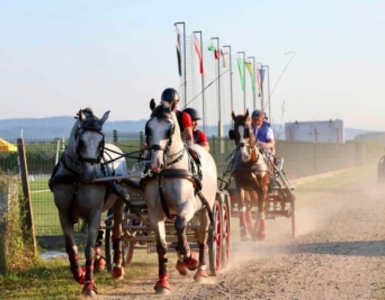 Pleternica ponovno u znaku vrhunskog konjičkog sporta i bogatog zabavnog programa