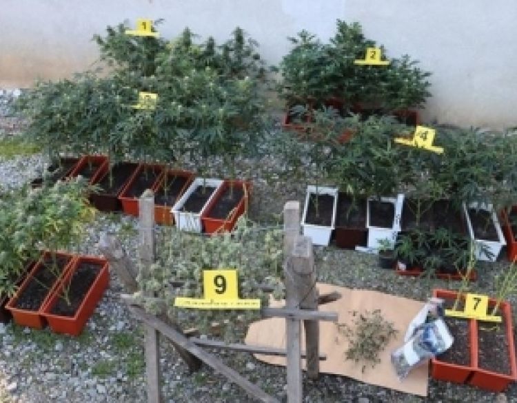 Kod 42-godišnjaka na području Požege pronađen laboratorij s opremom za proizvodnju droge tipa konoplje