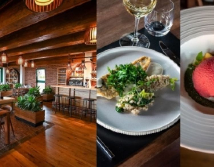 Ljeto na Vinkomiru donosi novi gastronomski doživljaj