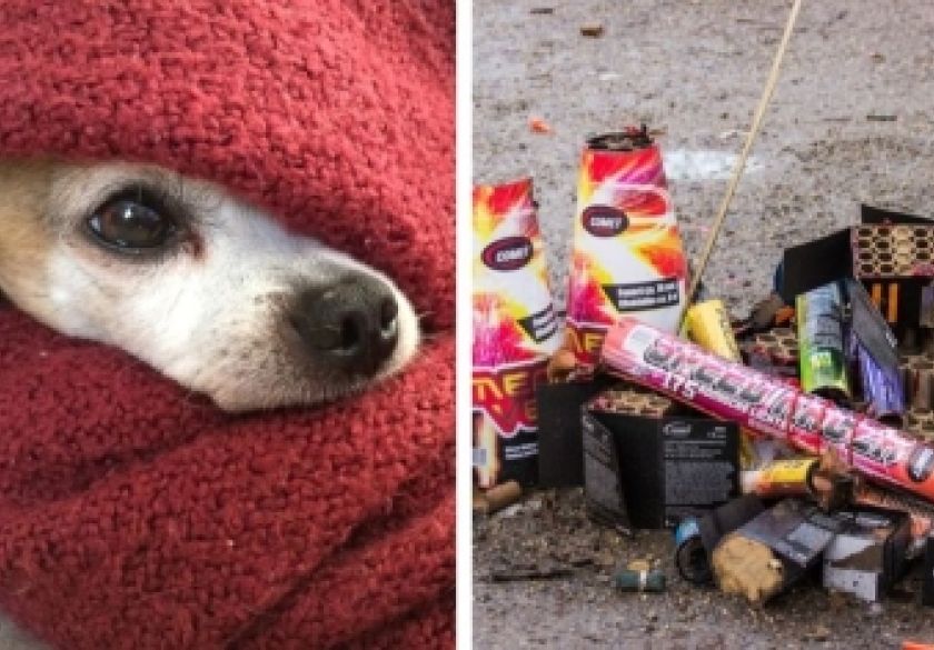 Danas počinju dani pirotehnike, iako se ništa ne slavi - Blagi zakon legalizira teror nad građanima, djecom, bolesnima i životinjama