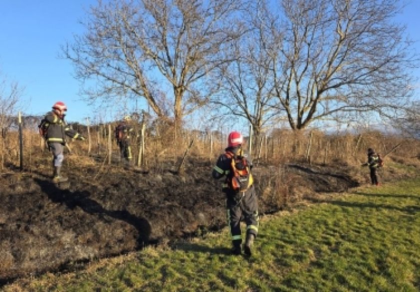 Požar na neobrađenom poljoprivrednom zemljištu u blizini naselja Golo Brdo