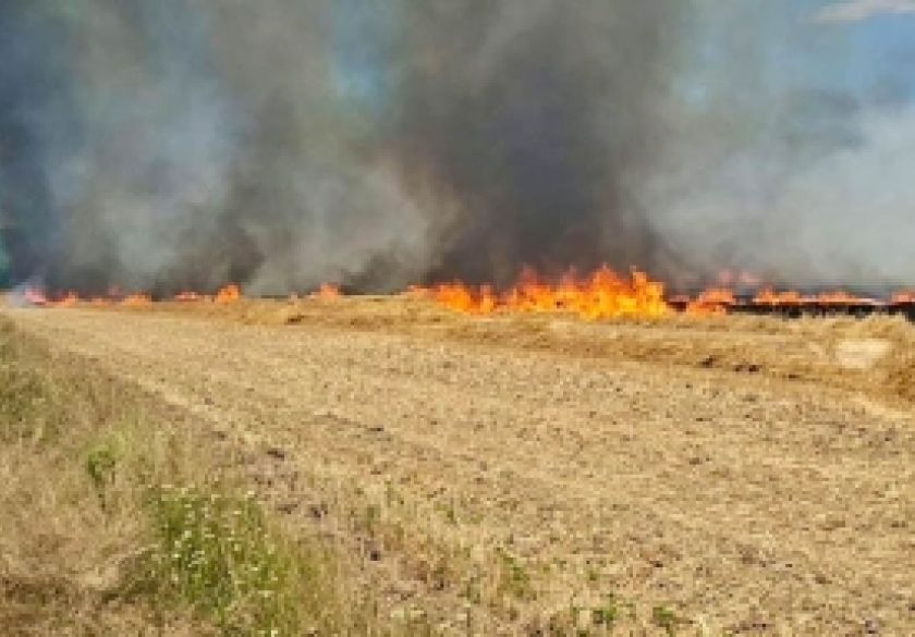 Požar kod Trenkova progutao 40 hektara strništa, vatrogasci spriječili daljnje širenje vatre