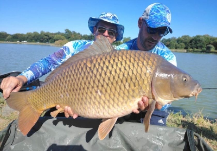Na 2. Method Feeder kupu 