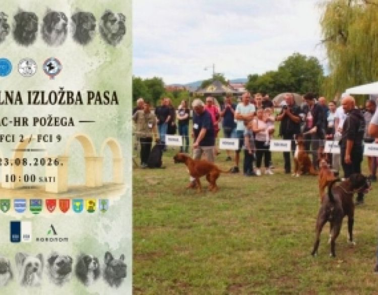 Specijalna izložba pasa CAC - HR Požega 2026. sutra na livadi kod Orljave