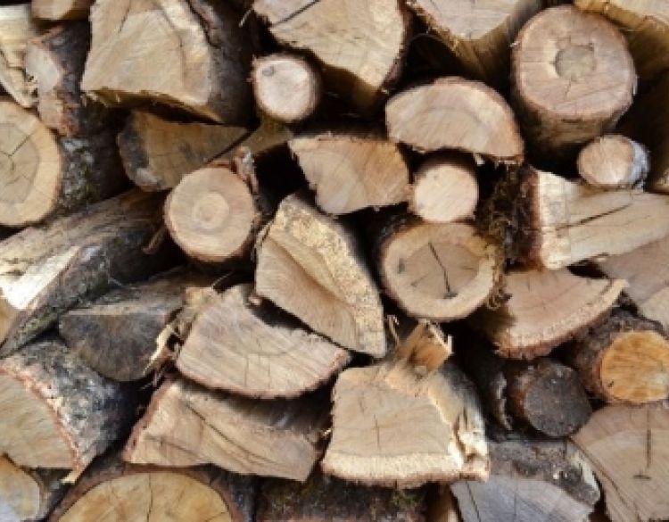 Povećanje popusta i nastavak mjere pomoći za snabdijevanje građana ogrjevnim drvom