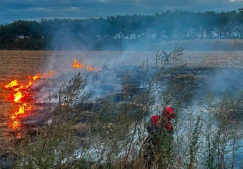 Signalna raketa izazvala požar na suhom strništu u Vetovu