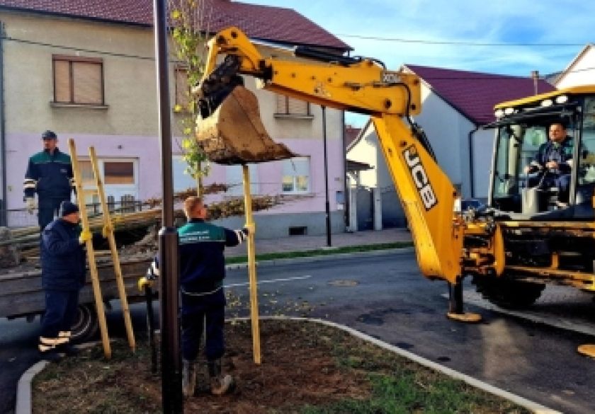 Nova stabla i trajni grmovi posađeni u Ulici dr. Franje Tuđmana