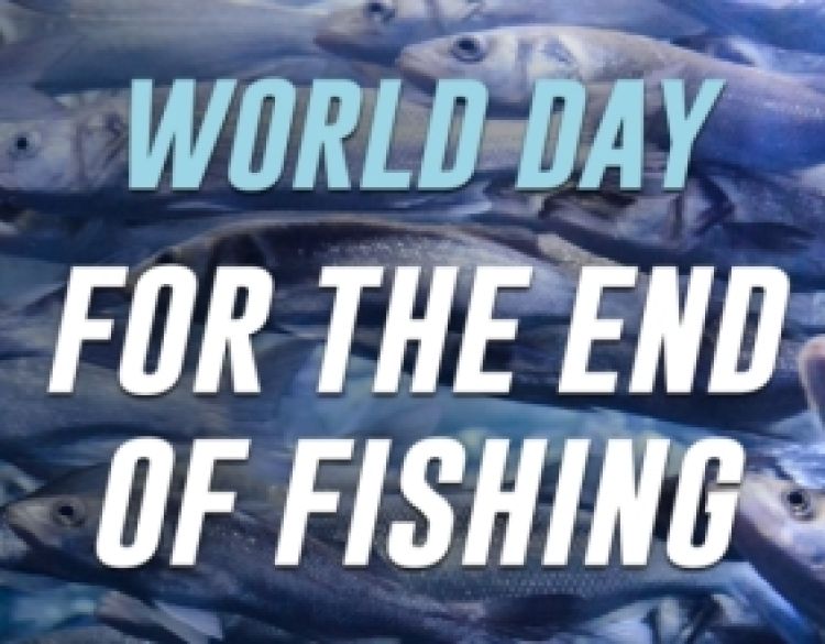 Uz obilježavanje Svjetskog dana za okončanje ribolova - Ribe su tihe žrtve ljudske ravnodušnosti