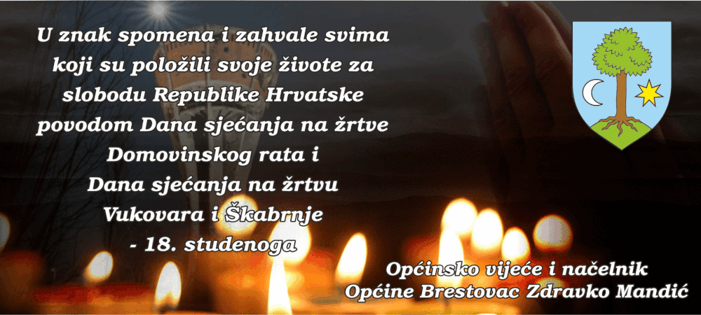 vukovar dan sjecanja 2025 13