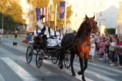 Festival običaja i požeška berba grožđa