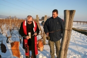 Orezivanjem trsova i blagoslovom loze obilježili početka radova u vinogradima